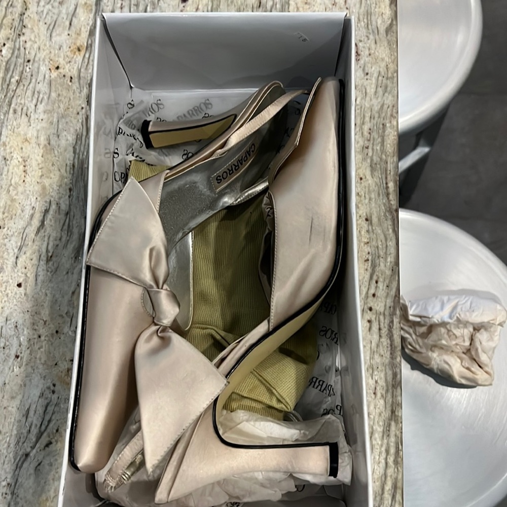 Champagne silk sling backs wore once! I’m the box.